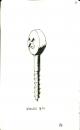 Cartoon: Useless 11 (small) by freekhand tagged useless,screw,tools