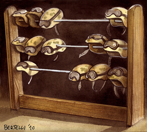 Abacus Abacus