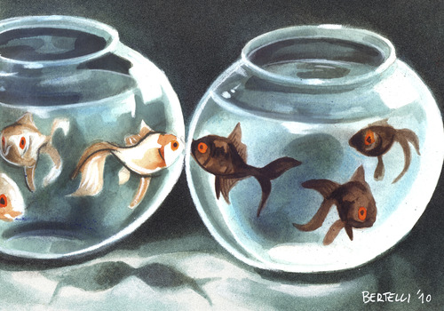 Cartoon: Racism (medium) by matteo bertelli tagged no,racism,black,white,illustration,fische,fisch,natur,knast,gefängnis,gefangenschaft,tiere,wasser,aquarium,rassismuss