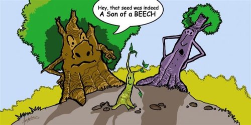Cartoon: SON OF A BEECH!! (medium) by fabskribbler tagged tree,beech,bitch,son,funny,cartoon,green,sky,ground,earth
