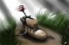 Cartoon: The inside (small) by cesar mascarenhas tagged boots,rose,grass