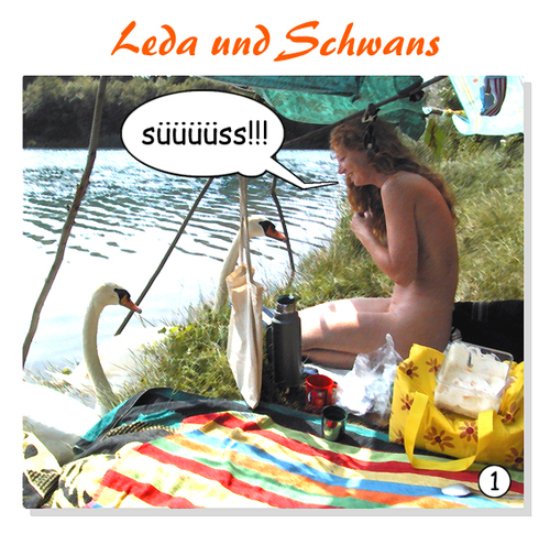 Cartoon: leda und schwans (medium) by zenundsenf tagged zensenf,zenundsenf,zenf,baden,zeus,schwan,leda