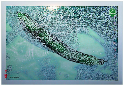 Cartoon: sea cucumba - seegurk (medium) by zenundsenf tagged sea,cucumber,gurke,seegurke,zenf,zensenf,zenundsenf,walter,andi