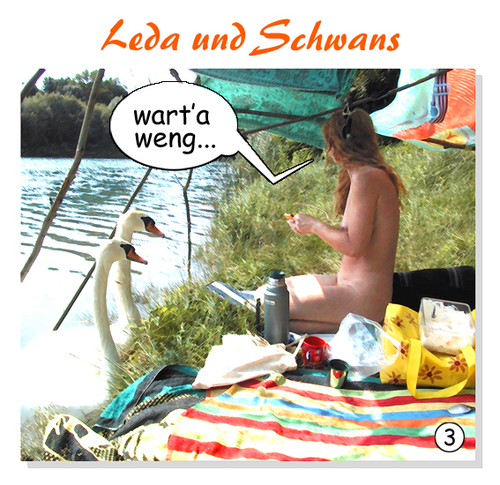 Cartoon: leda und schwans (medium) by zenundsenf tagged zensenf,zenundsenf,zenf,baden,zeus,schwan,leda
