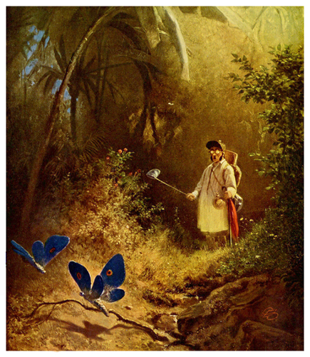 Cartoon: Spitzweg-Butterbeasts (medium) by zenundsenf tagged carl,spitzweg,butterbeasts,butterflies,composing,cartoon,illustration,homage,zenf,zensenf,zenundsenf,andi,walter