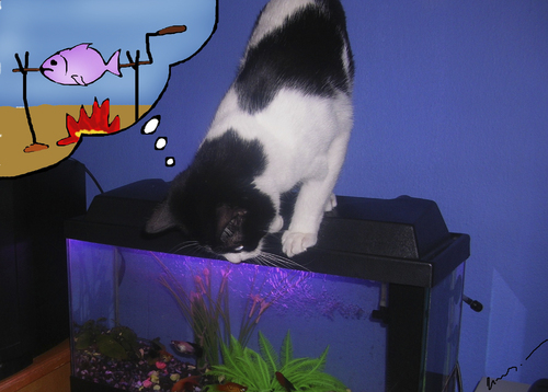 Cartoon: Pati s Dreams (medium) by huseyinalparslan tagged cat,pati,dream,fish