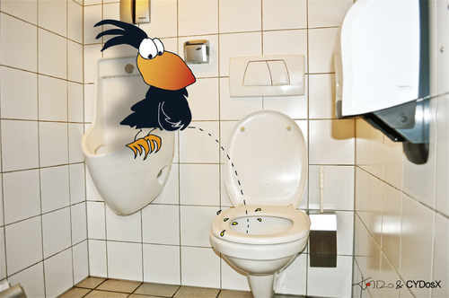 Cartoon: Aaaaaaaaaaaaaah (medium) by KADO tagged sitzpinkler,pinkeln,wee,pee,toilet,toilette,krähe,crow,animal,bird,vogel,kado,kadocartoons,dominika,kalcher,comic,humor,spass,cartoon,illustration,austria,steiermark,graz,styria,kunst,art,zeichnen,draw,tags