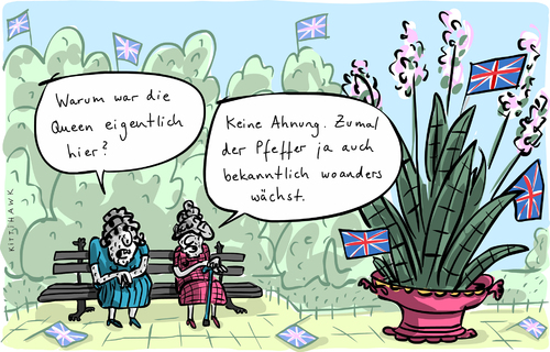 Queen im Pfeffer Queen im Pfeffer