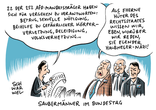 AfD Abgeordnete Ermittlungen AfD Abgeordnete Ermittlungen