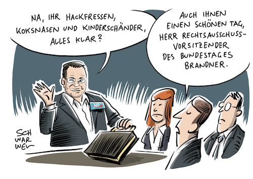 AfD Brandner Rechtsausschuss