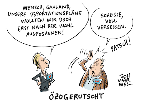 AfD Gauland