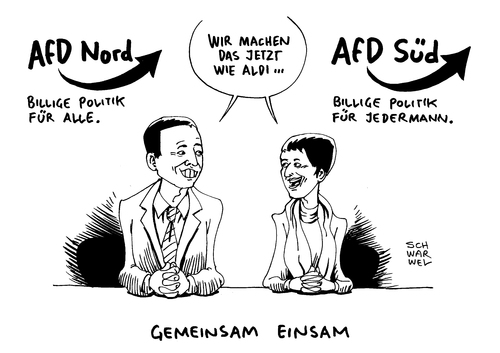 AfD Lucke Petry AfD Lucke Petry