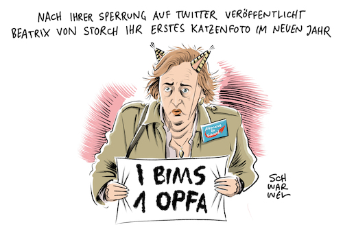 AfD Opferkarte NetzDG AfD Opferkarte NetzDG