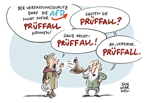 AfD Prüffall AfD Prüffall