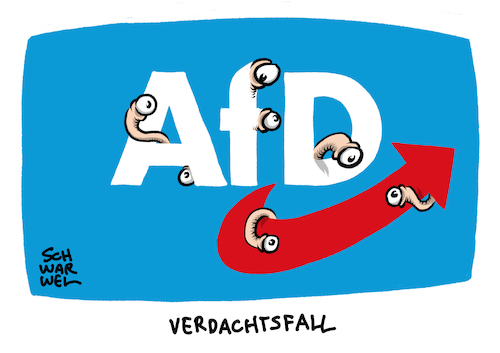 AfD Verdachtsfall AfD Verdachtsfall