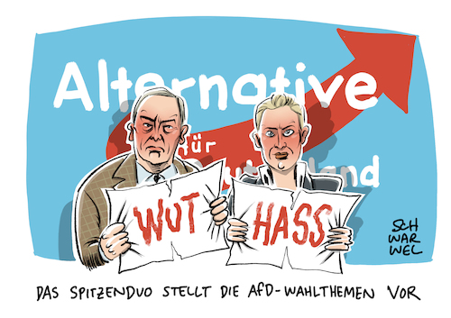 AfD Wahlprogramm AfD Wahlprogramm