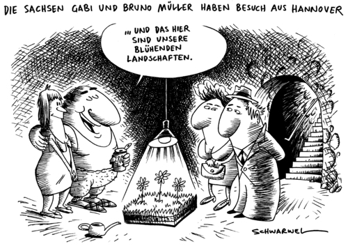 Blühende Landschaften