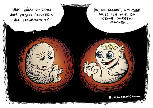 Bundestag Gentests an Embryos Bundestag Gentests an Embryos