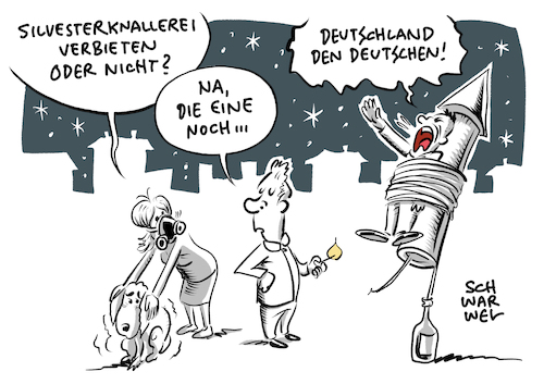 Diskussion um Silvesterböller Diskussion um Silvesterböller