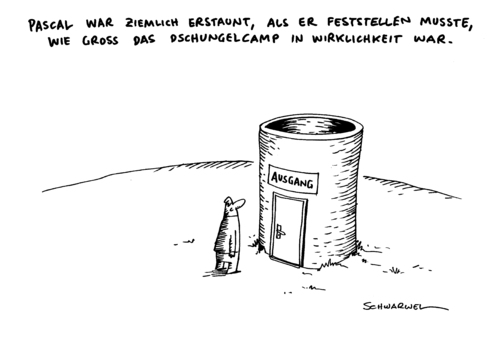 Dschungelcamp Dschungelcamp