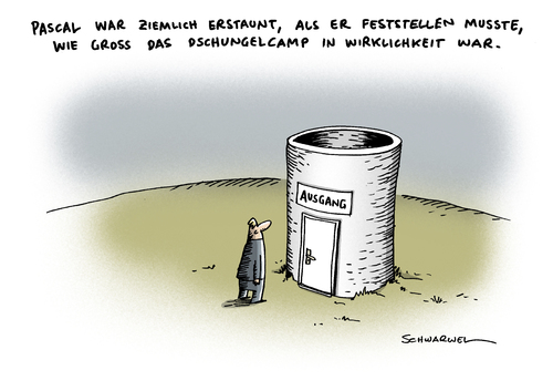 Dschungelcamp Dschungelcamp