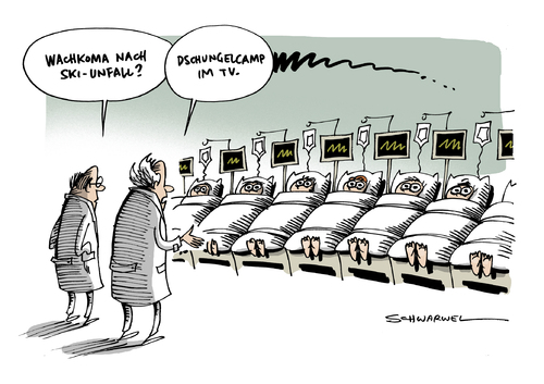 Dschungelcamp Neue Staffel Dschungelcamp Neue Staffel