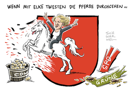 Elke Twesten Die Güne CDU Elke Twesten Die Güne CDU
