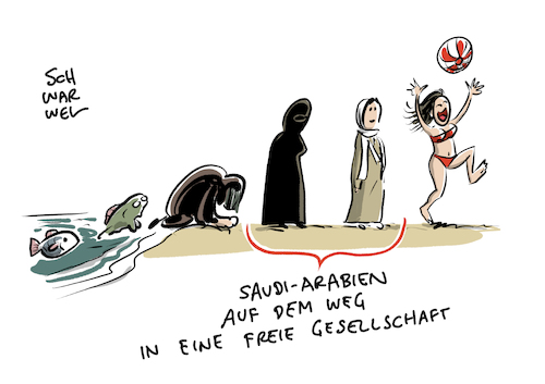 Ende Schleierzwang Ende Schleierzwang