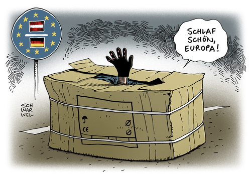 Erstaufnahme im Pappkarton Erstaufnahme im Pappkarton