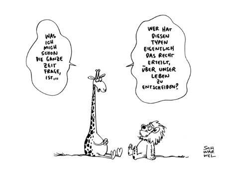 Giraffe Tod im Zoo Giraffe Tod im Zoo