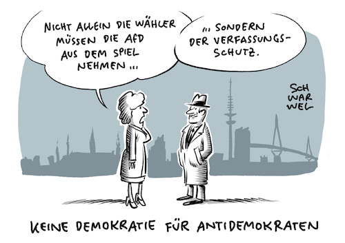 Hamburg Wahl AfD