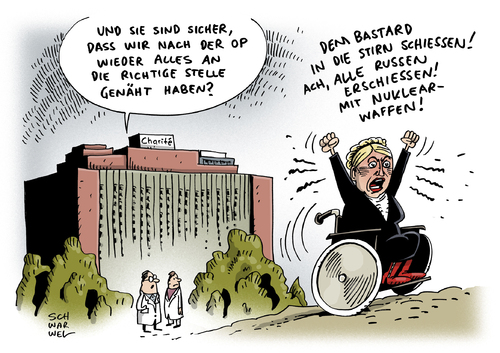 Krim Timoschenko Krim Timoschenko