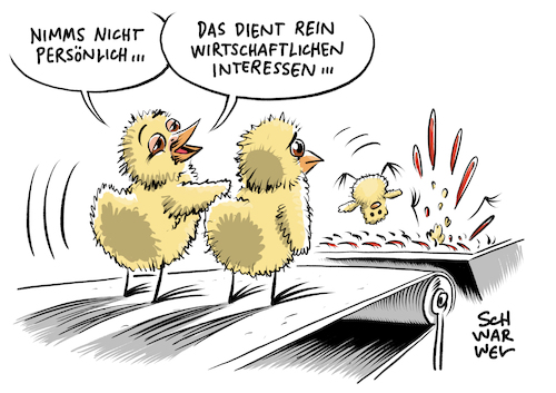 Kükenschreddern Kükenschreddern