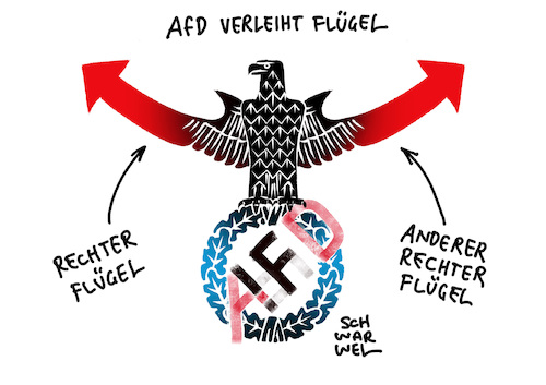 Machtkampf AfD rechtsradikal Machtkampf AfD rechtsradikal