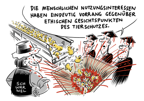 Massentötungen von Küken Massentötungen von Küken