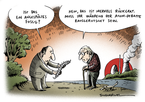 Merkels Rückgrat Merkels Rückgrat