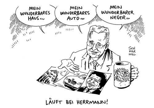 Neger Äußerung von Herrmann