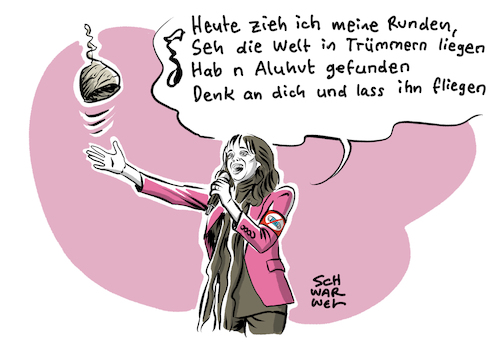 Nena Konzert Abbruch