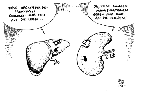 Cartoon: Organspende Skandal (medium) by Schwarwel tagged organspende,skandal,leipzig,deutschland,organ,arzt,krankenhaus,kariaktur,schwarwel,organspende,skandal,leipzig,deutschland,organ,arzt,krankenhaus,kariaktur,schwarwel