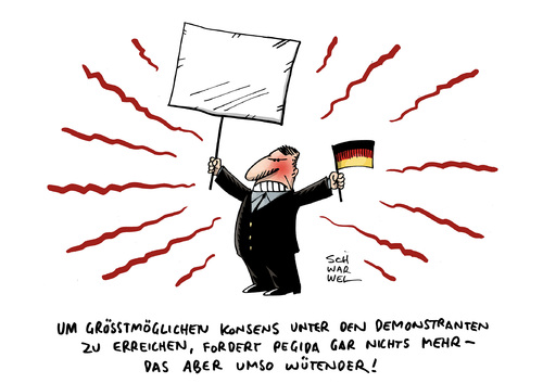 Pegida Proteste