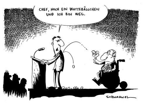 Rücktritt Sprecher von Schäubl