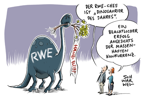 RWE Negativpreis NABU