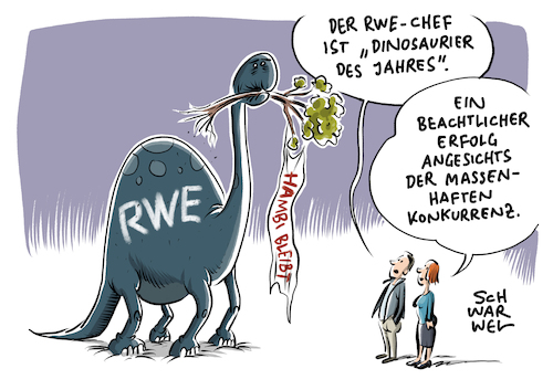 RWE Negativpreis NABU RWE Negativpreis NABU