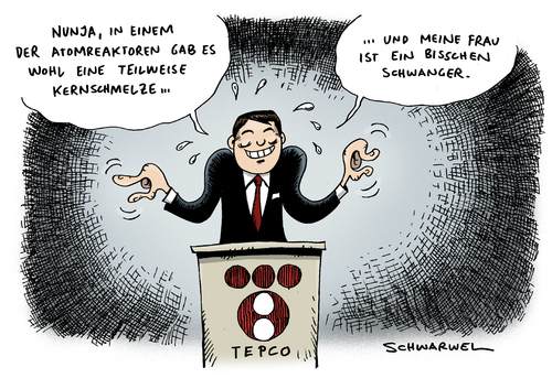 Teilweise Kernschmelze Fukushima Teilweise Kernschmelze Fukushima