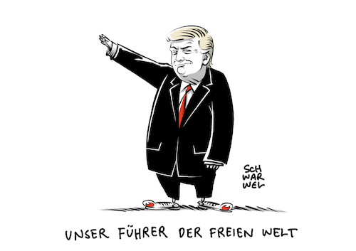 US Wahl Trump Demokratie US Wahl Trump Demokratie