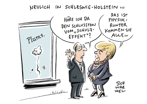 Wahl in Schleswig Holstein