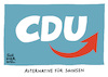 CDU Koalition AfD Sachsen