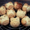 Cartoon: Alles Gute (small) by manfredw tagged neujahr,glück,schweinchen,symbol,wunsch