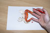 Cartoon: Zauberstift (small) by Peter Losch tagged mensch,tier,gefahr,kreativ,abstrakt,lustig