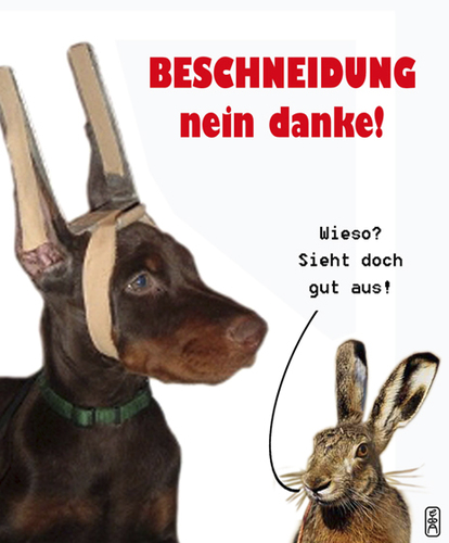 Cartoon: Beschneidung - nein danke! (medium) by edda von sinnen tagged rabit,hare,cutting,dog,hound,hund,circumcision,walter,andi,zenf,zensenf,zenundsenf,beschneidung,edda,von,sinnen